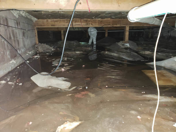 Best Flood Cleanup and Water Removal in New York Mills, NY